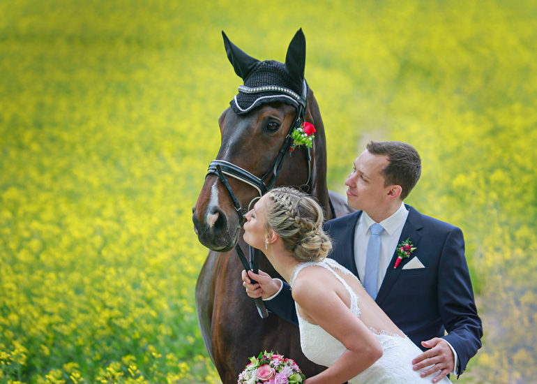babybauch-fotografie