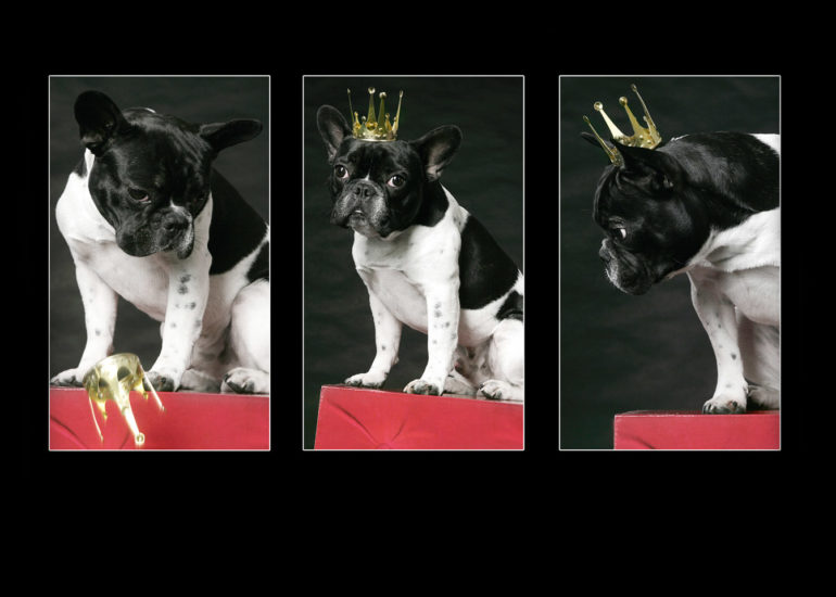 babybauch-fotografie