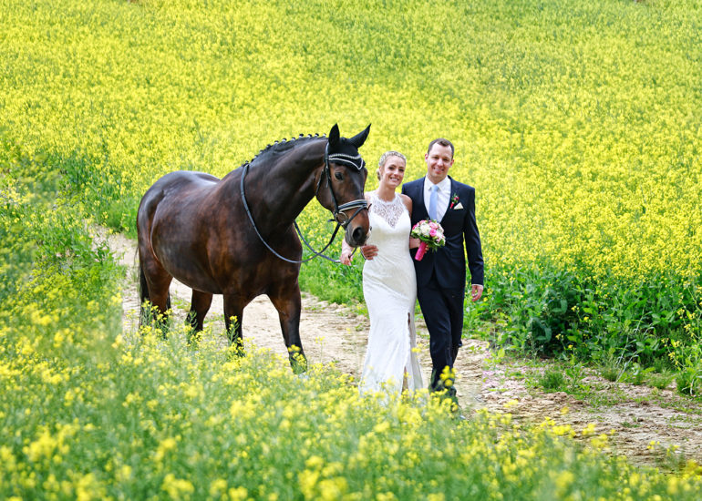 babybauch-fotografie